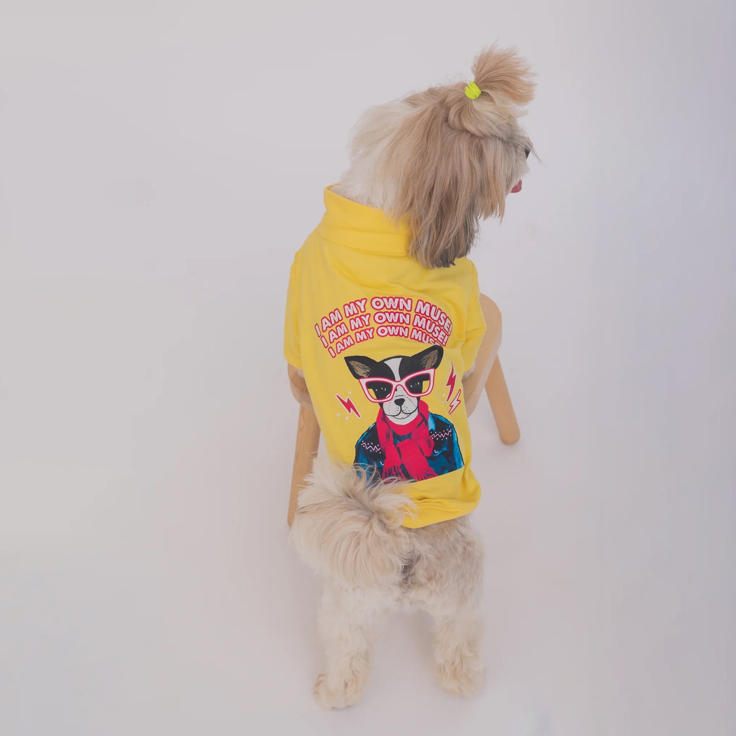 I am my own muse turtle neck dog Tshirt