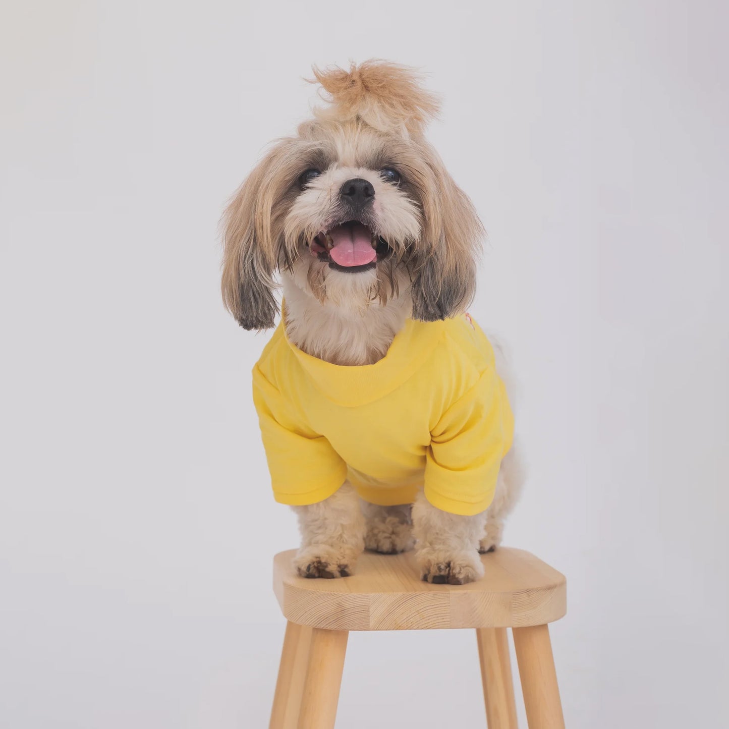 I am my own muse turtle neck dog Tshirt