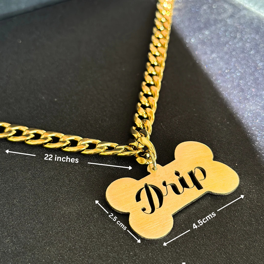 Festive Paw Combo – Kurta & Name Tag for Dogs