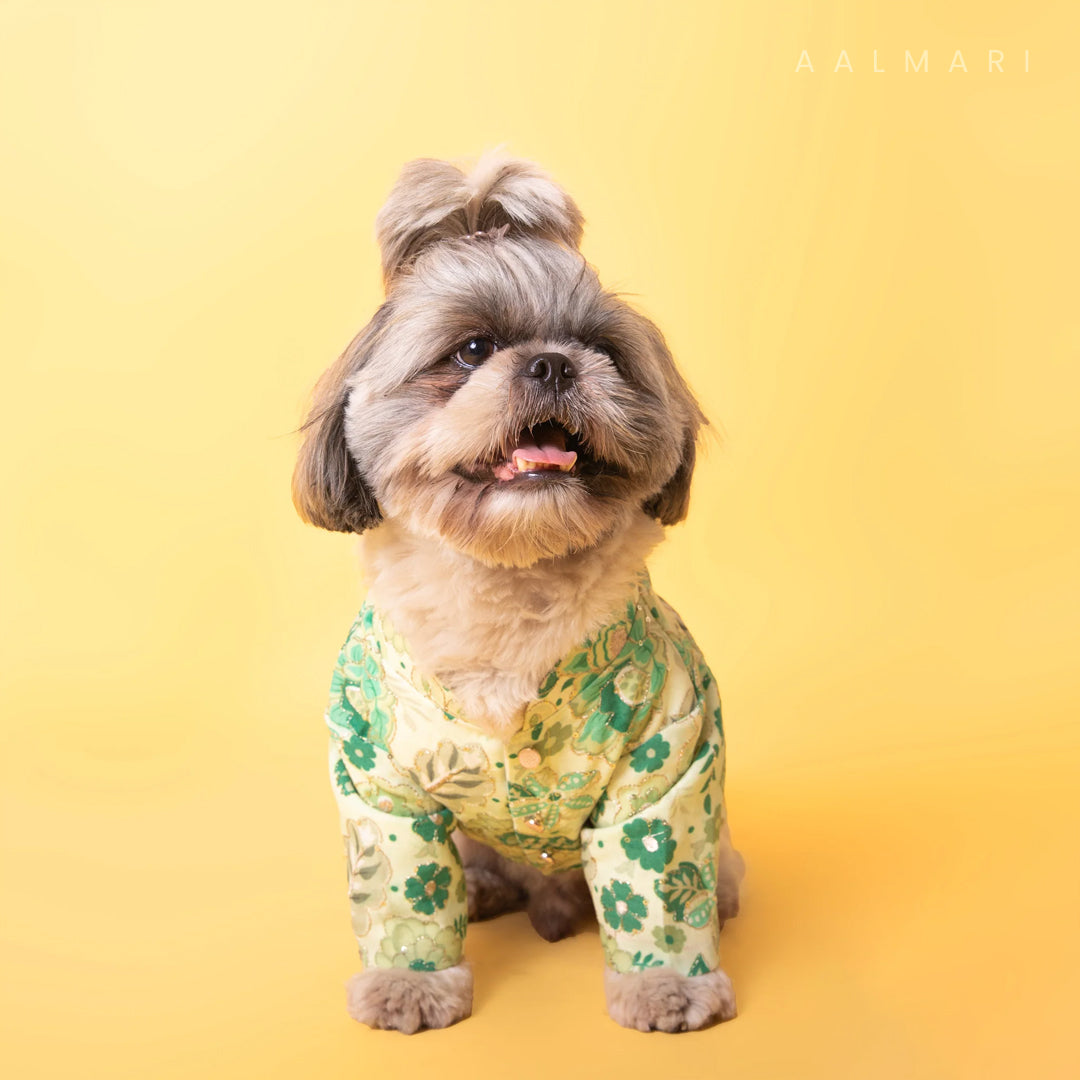 Floral Green Zari Sherwani For Dogs