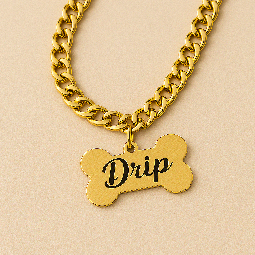 Name Tag with Chain for Dogs