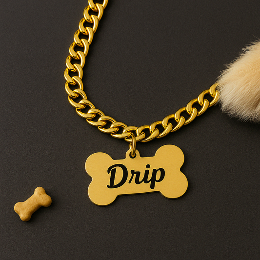 Name Tag with Chain for Dogs