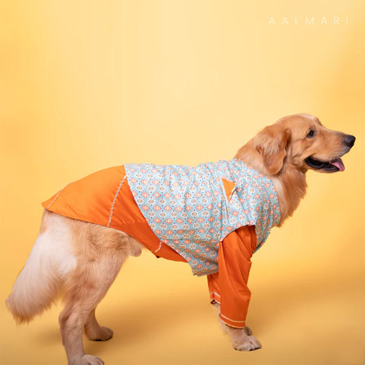 Mint Blue Floral Aztec Koti With Orange Kurta For Dogs