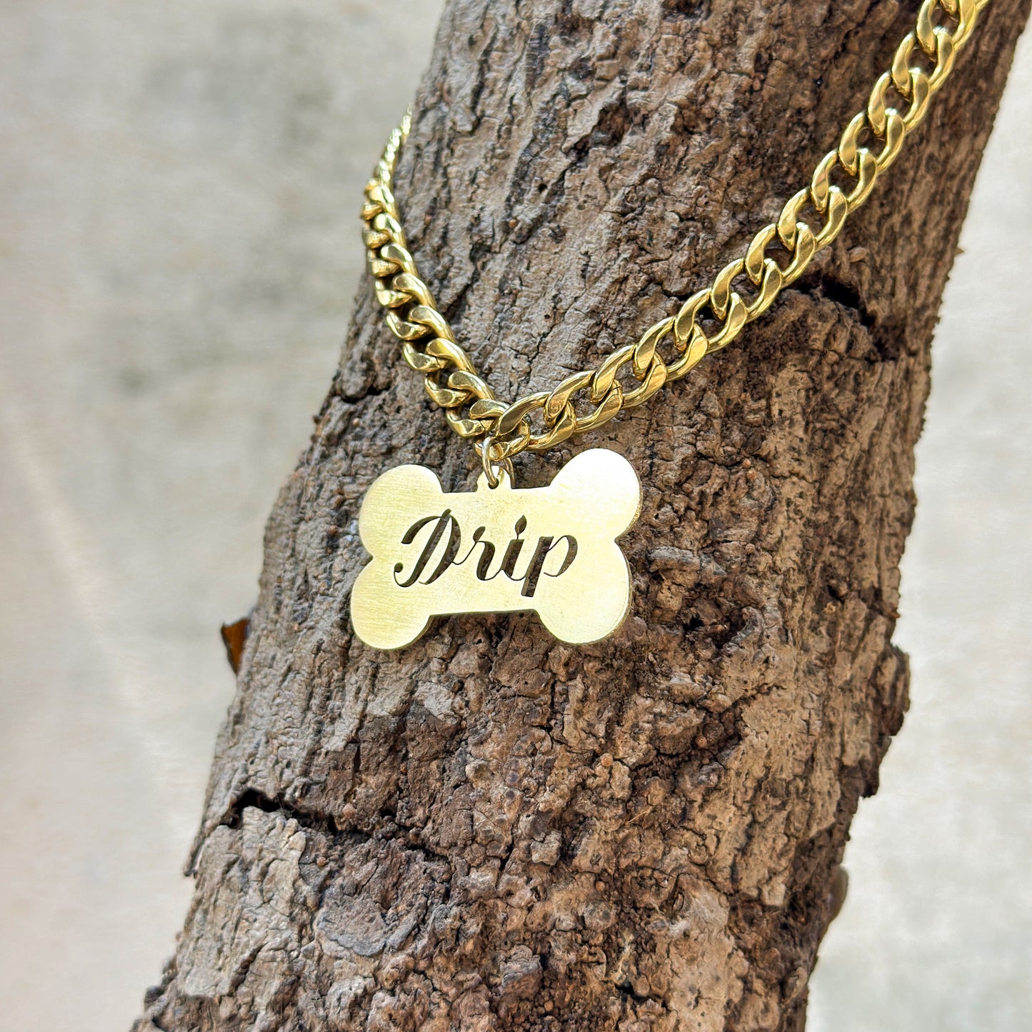 Name Tag with Chain for Dogs