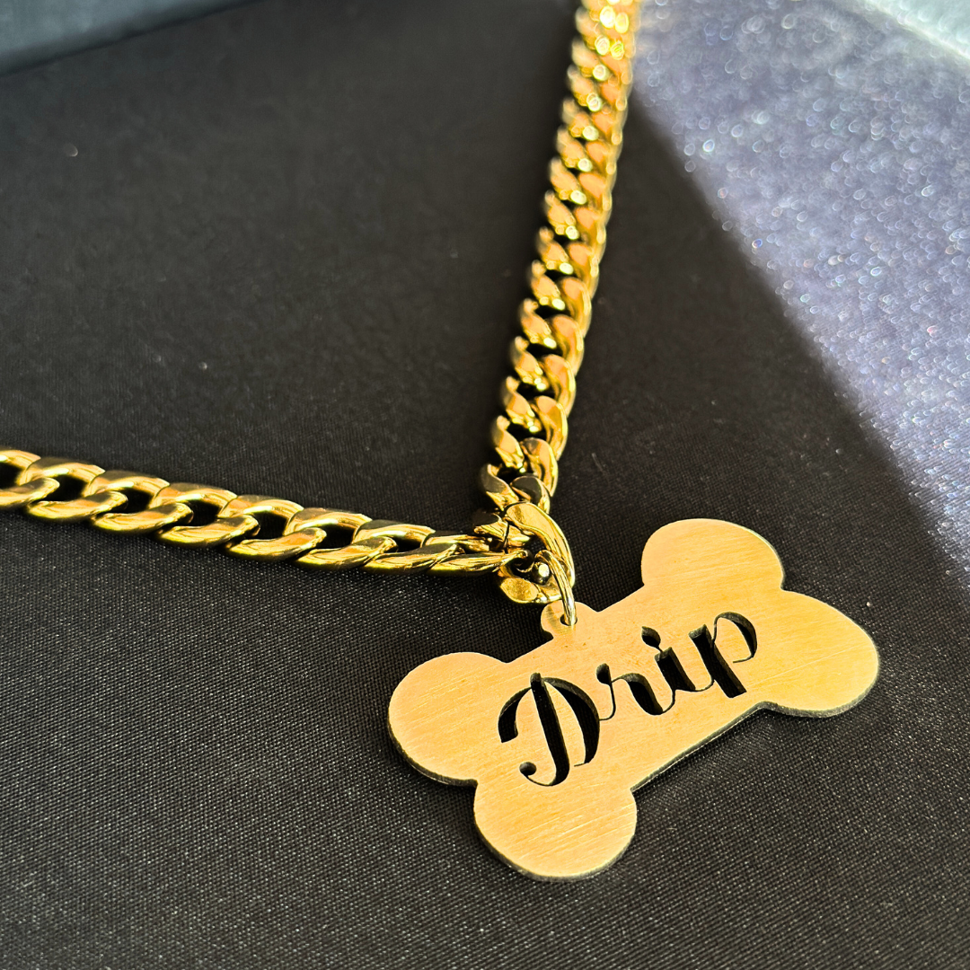 Name Tag with Chain for Dogs