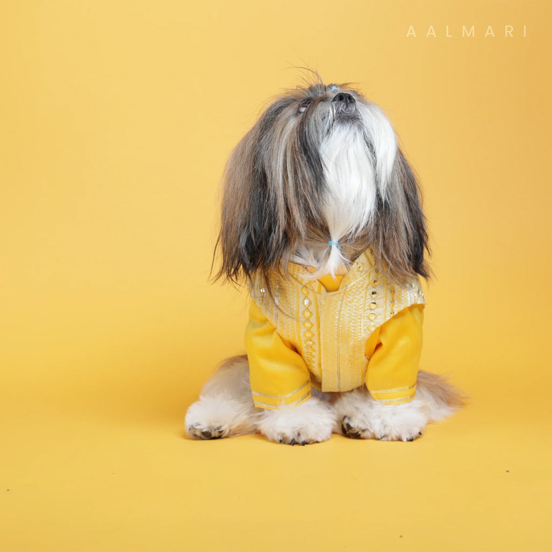 Sunshine yellow koti kurta set with mirror embroidery