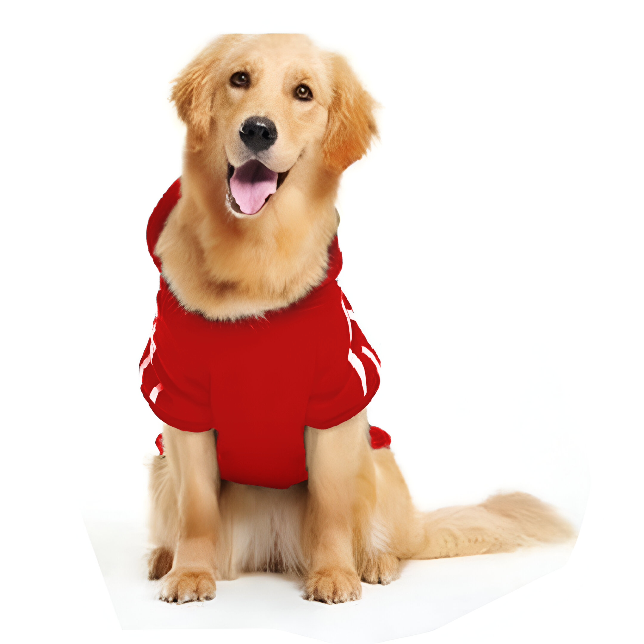 AdiDog Winter Hoodie