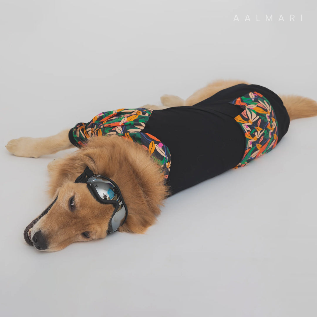 Black Tropical Bomber Dog Shacket