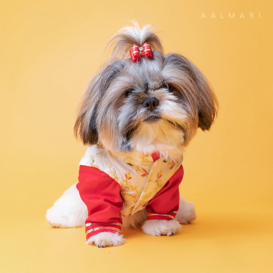 Brocade Zari Koti With Red Gotapati Kurta For Dogs
