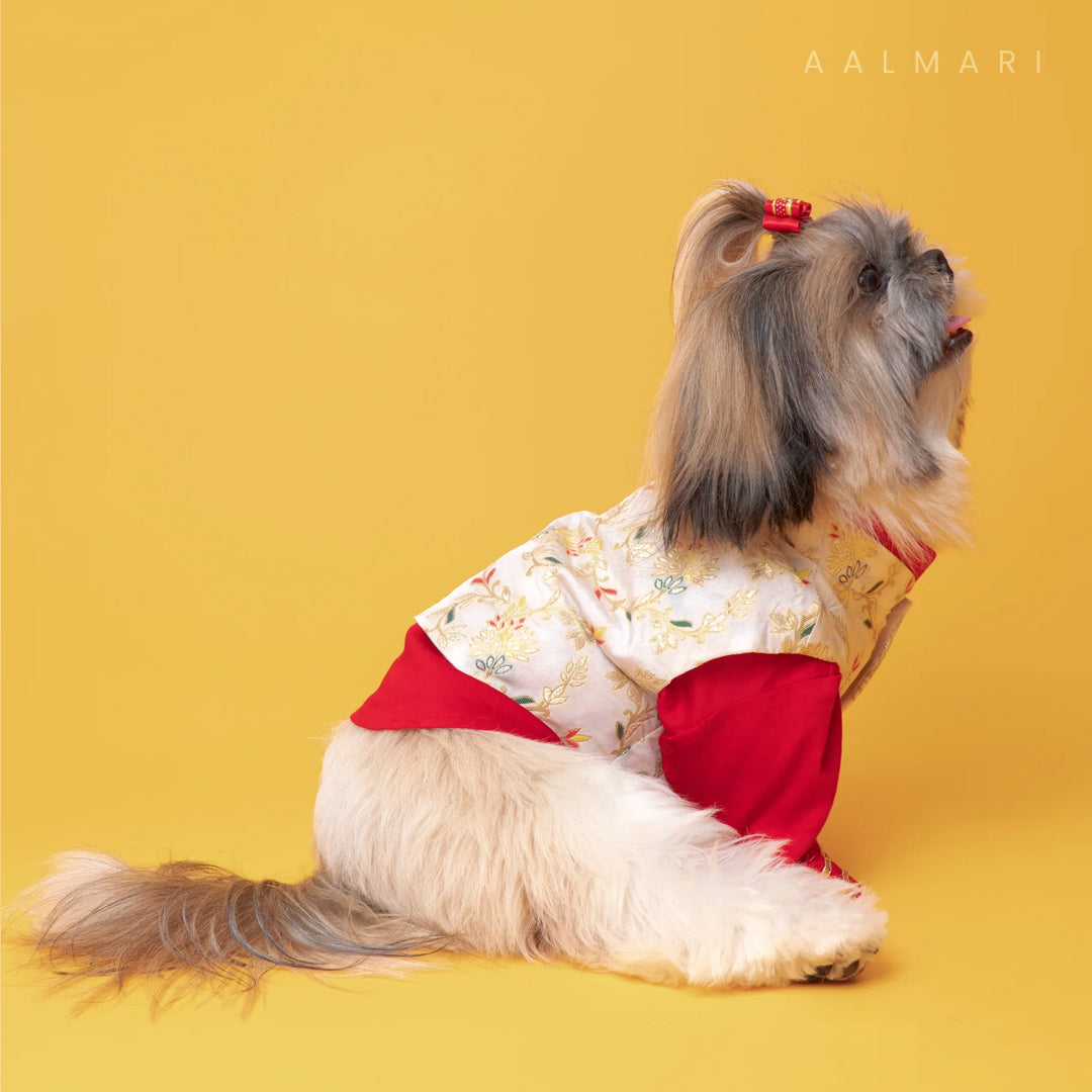 Brocade Zari Koti With Red Gotapati Kurta For Dogs