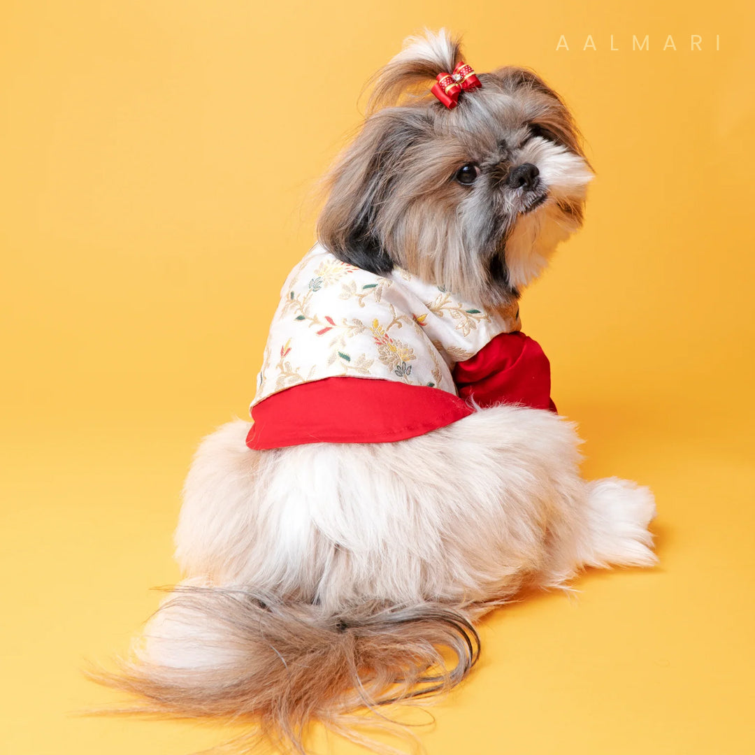 Brocade Zari Koti With Red Gotapati Kurta For Dogs