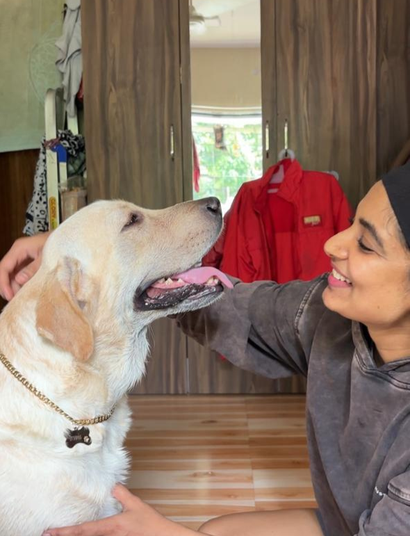 Custom Pet Portrait | Dogs & Cats