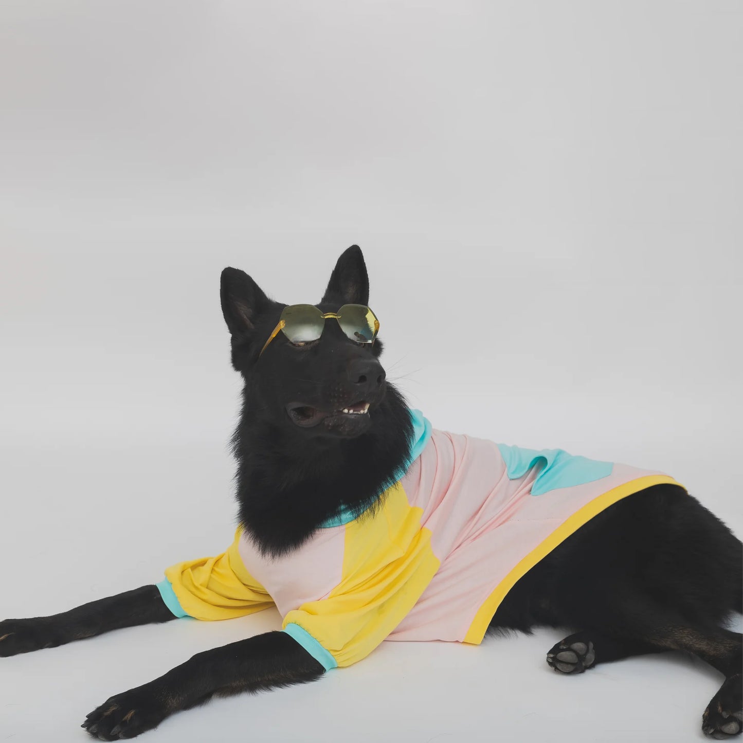 Candy Floss Color Blocking Hoodie Tshirt