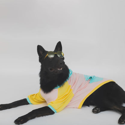 Candy Floss Color Blocking Hoodie Tshirt