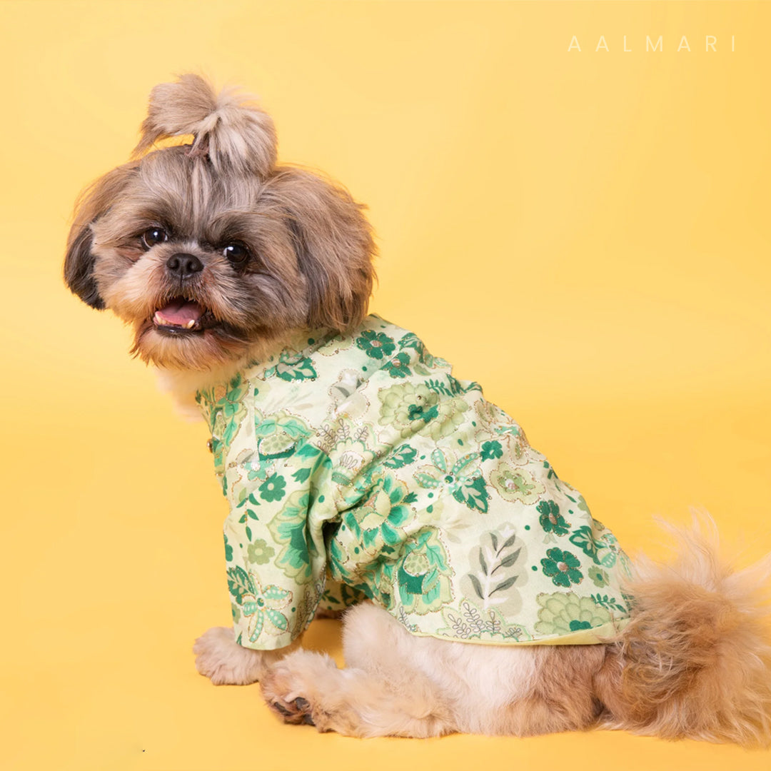 Floral Green Zari Sherwani For Dogs