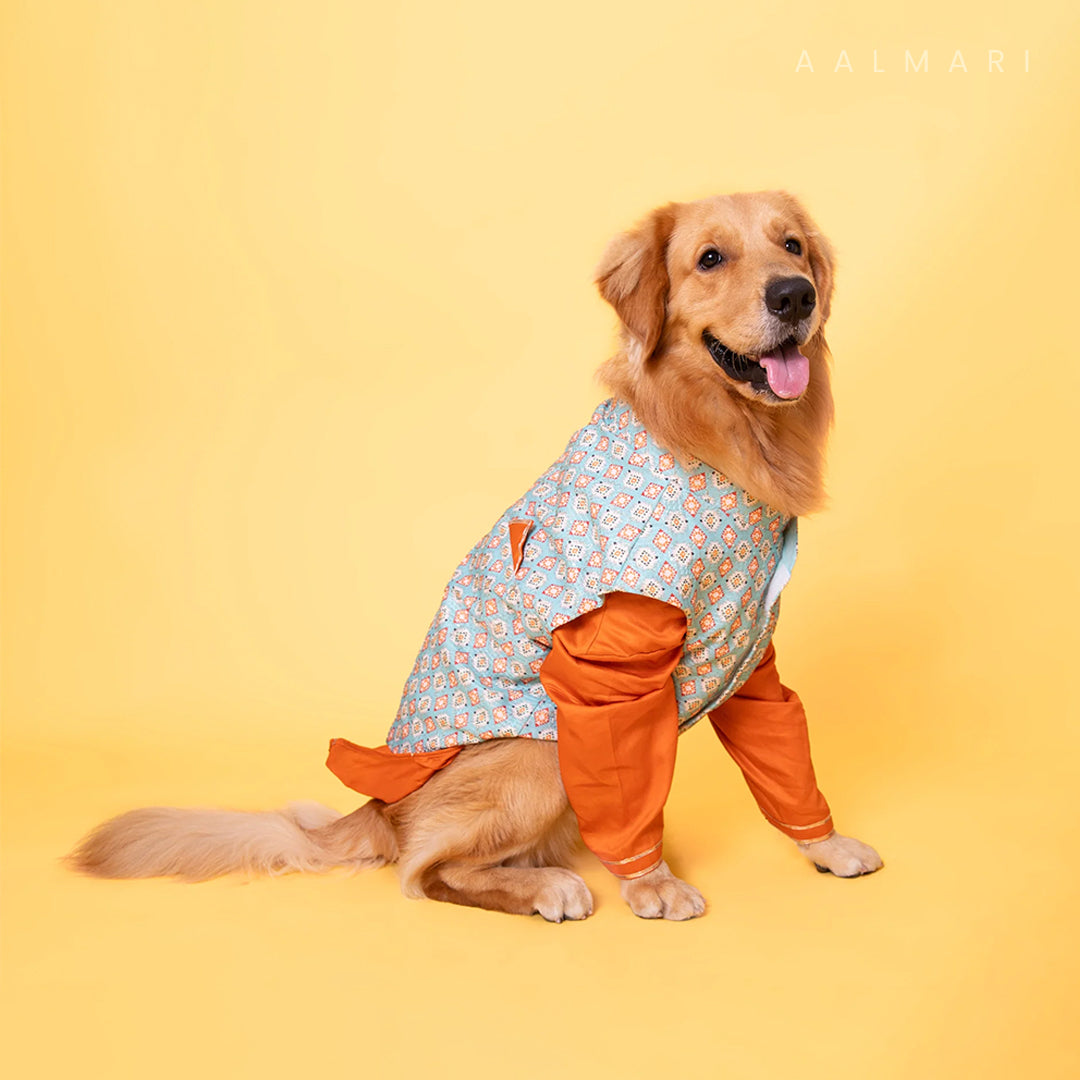 Mint Blue Floral Aztec Koti With Orange Kurta For Dogs