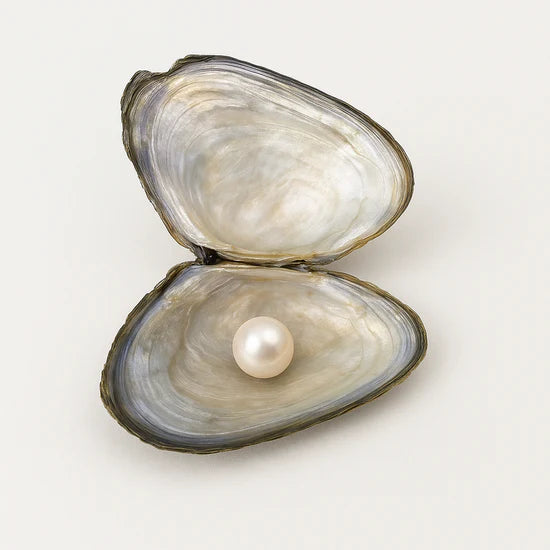 Oyster Pearl Necklace