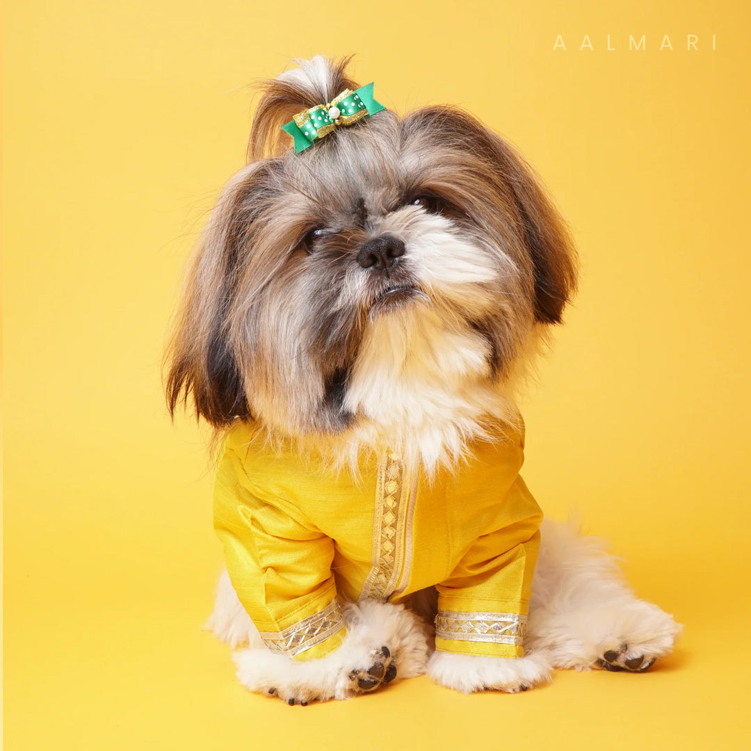 Silk Yellow Gotapati Kurta