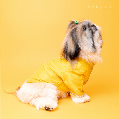 Silk Yellow Gotapati Kurta