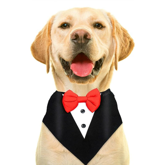 Tuxedo Bandana
