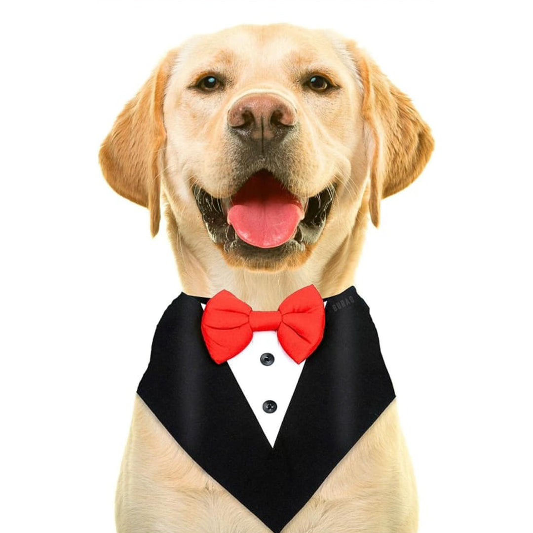 Tuxedo Bandana